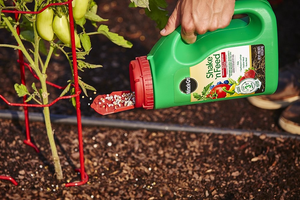 image:imageMiracleGro Shake N Feed All Purpose Plant Food 1 lb45 lb Pack of 6