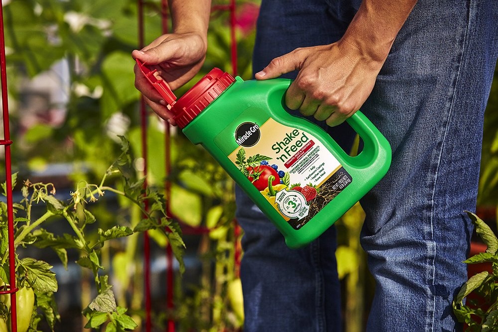 image:imageMiracleGro Shake N Feed All Purpose Plant Food 1 lb45 lb Pack of 6