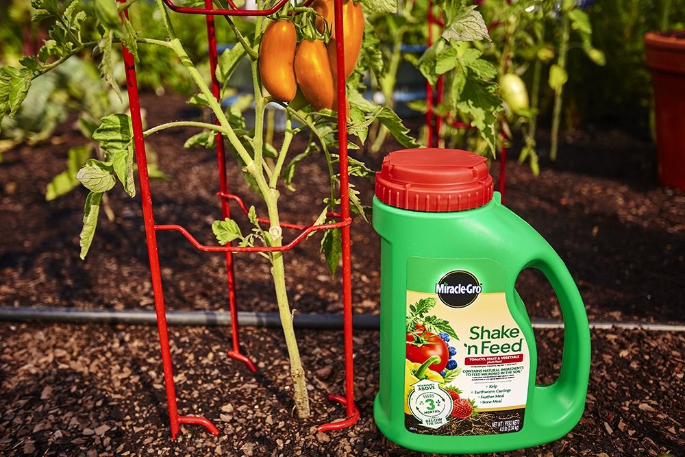 image:imageMiracleGro Shake N Feed All Purpose Plant Food 1 lb45 lb Pack of 6