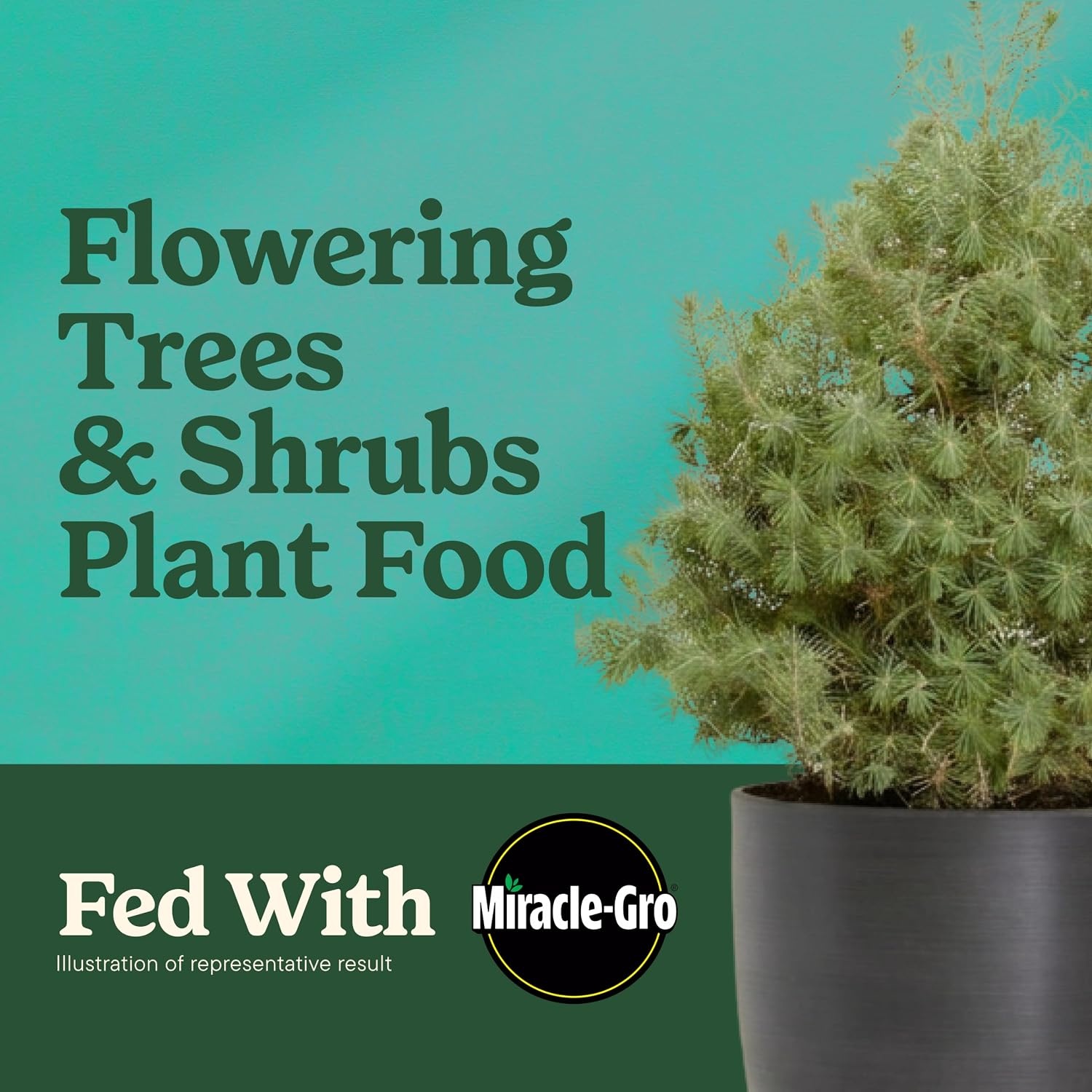 image:imageMiracleGro Shake N Feed All Purpose Plant Food 1 lb8 lb