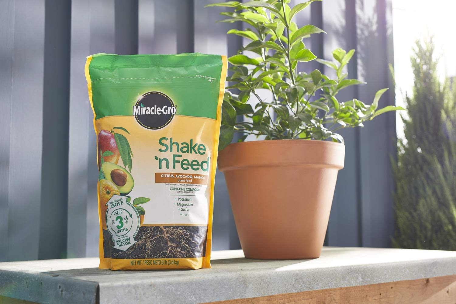 image:imageMiracleGro Shake N Feed All Purpose Plant Food 1 lb8 lb