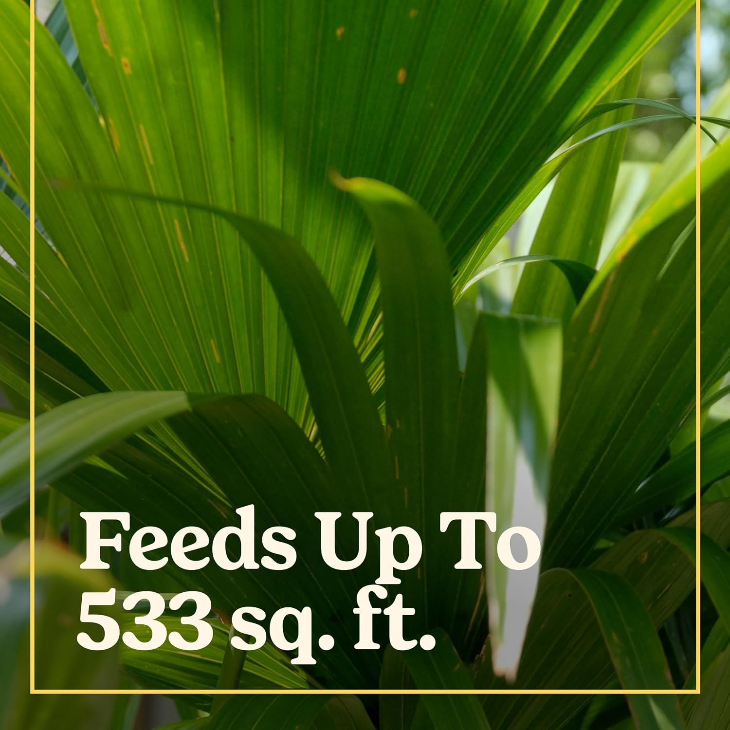 image:imageMiracleGro Shake N Feed All Purpose Plant Food 1 lb8 lb