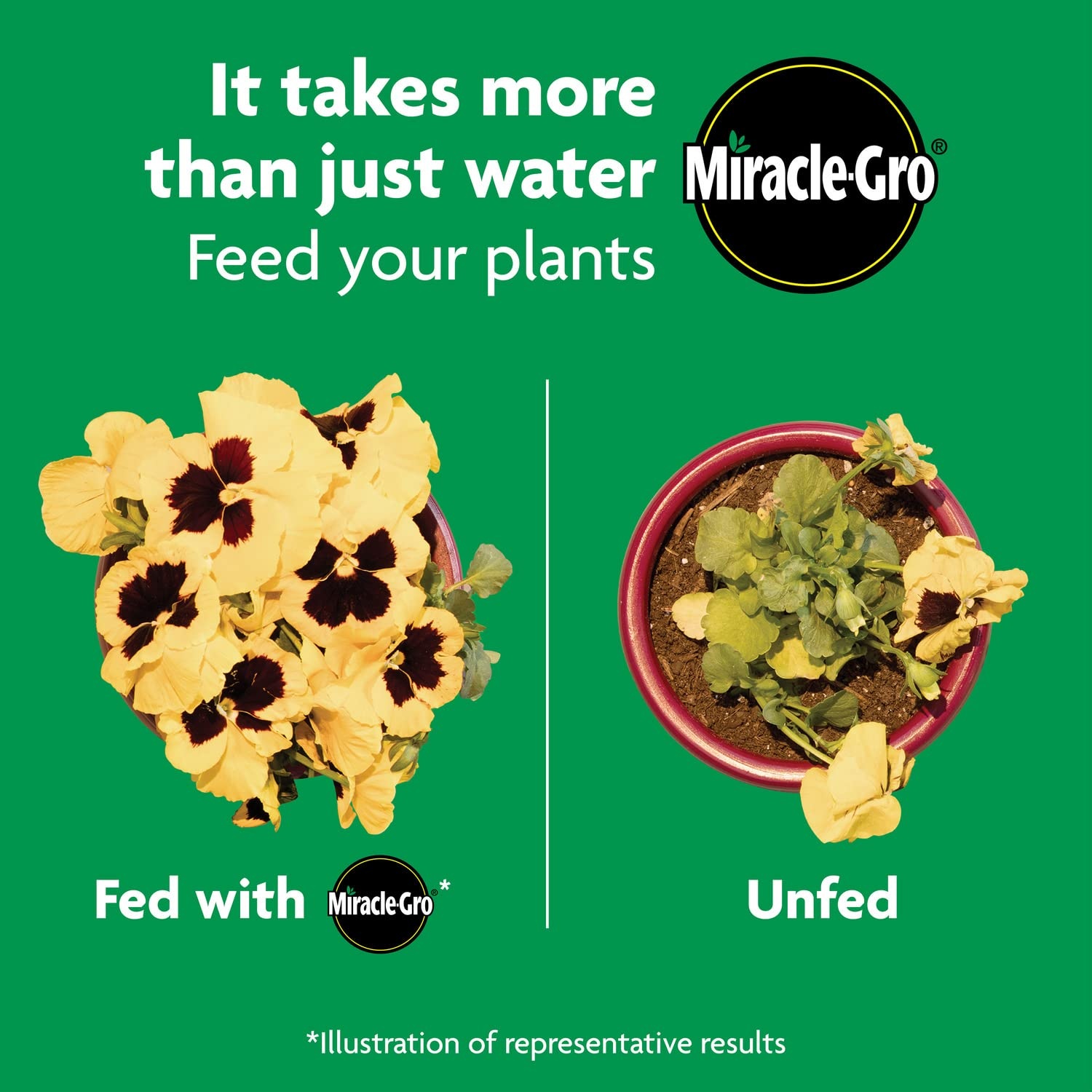image:imageMiracleGro Shake N Feed All Purpose Plant Food 1 lb8 lb