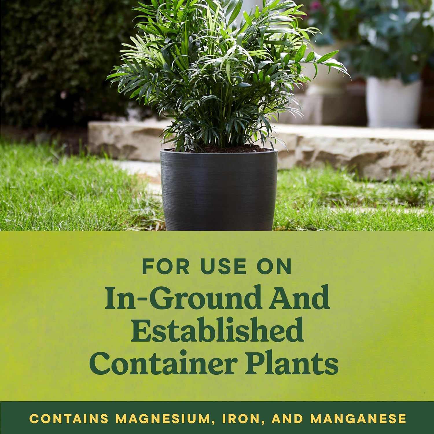 image:imageMiracleGro Shake N Feed All Purpose Plant Food 1 lb8 lb