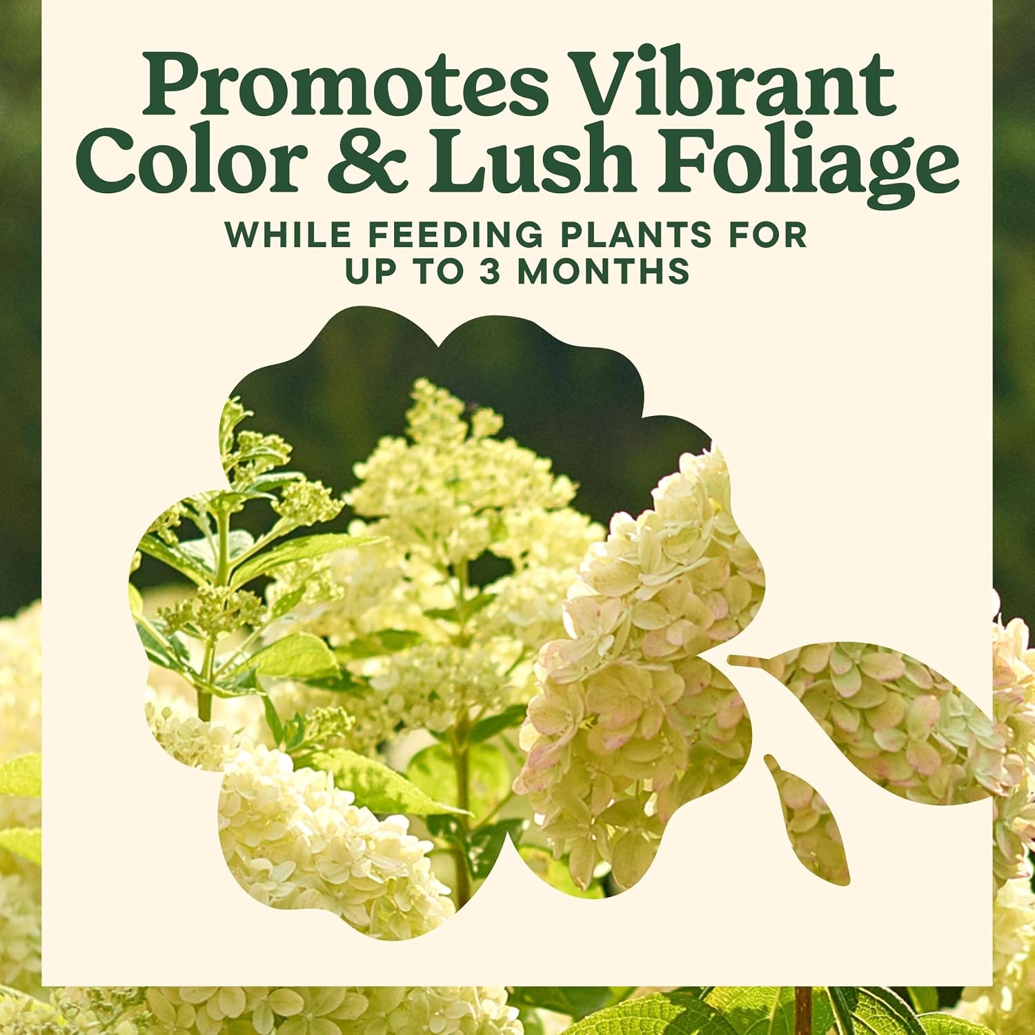 image:imageMiracleGro Shake N Feed All Purpose Plant Food 1 lb8 lb