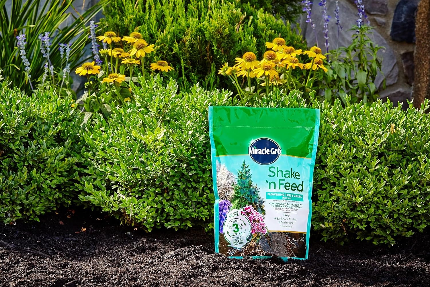 image:imageMiracleGro Shake N Feed All Purpose Plant Food 1 lb8 lb Pack of 4