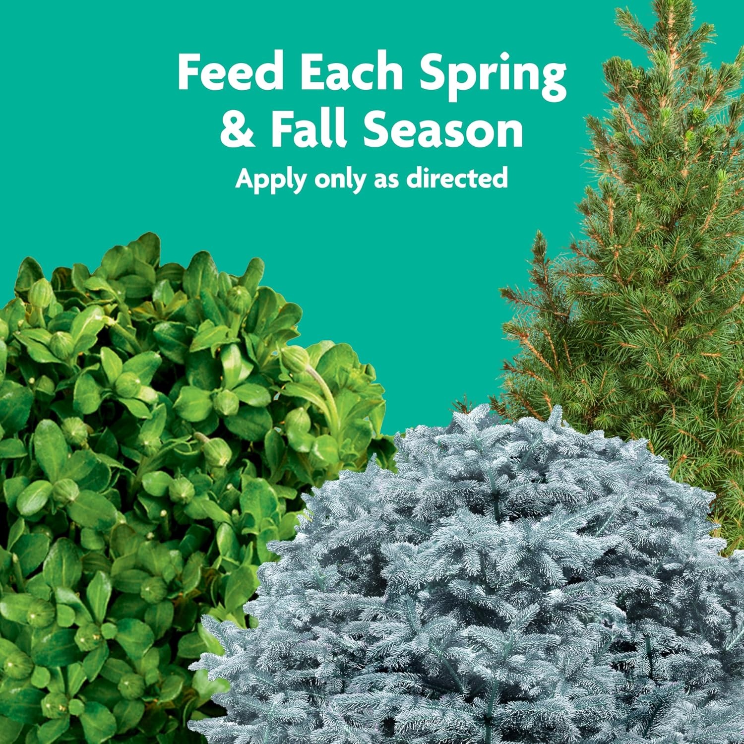 image:imageMiracleGro Shake N Feed All Purpose Plant Food 1 lb8 lb Pack of 4