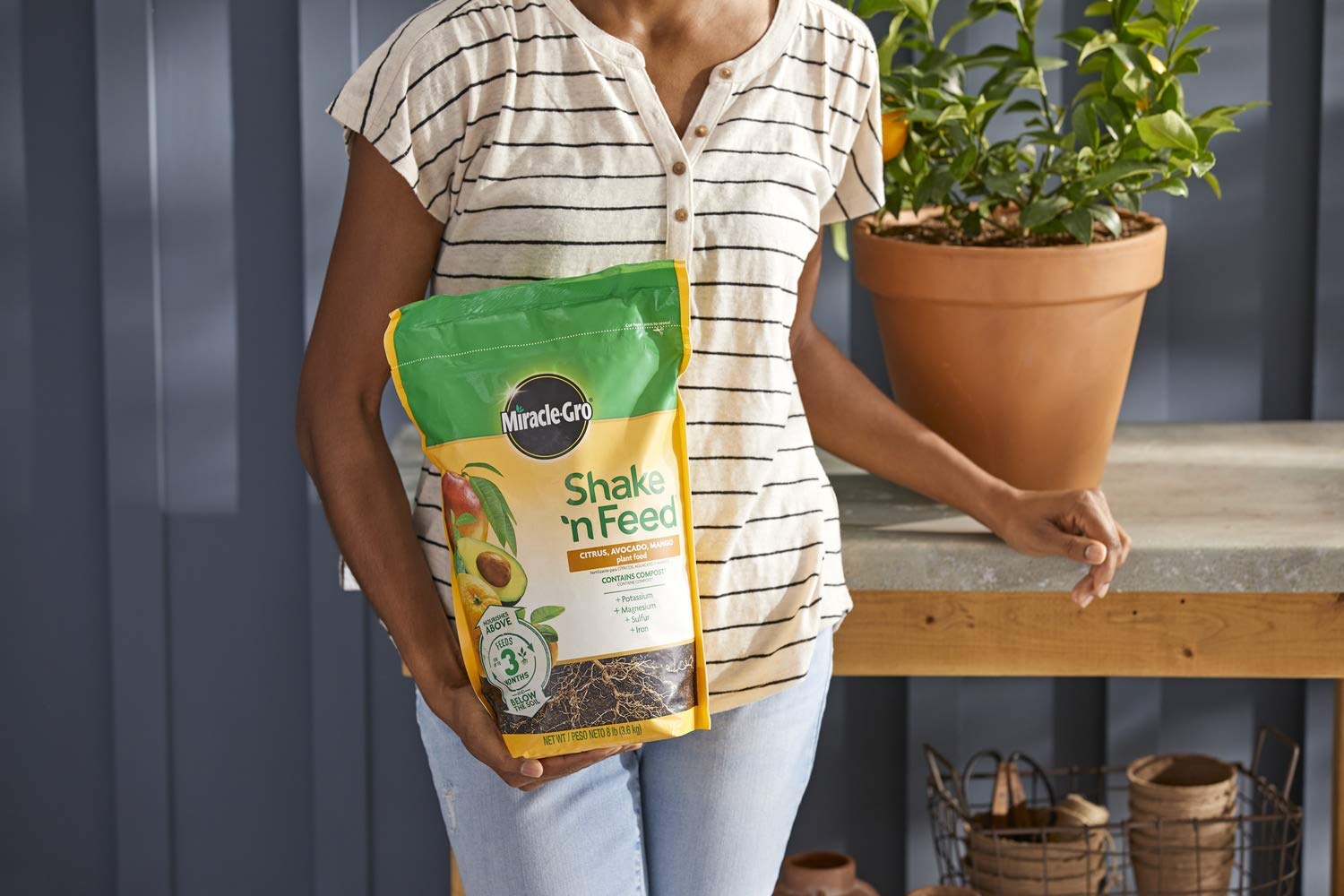image:imageMiracleGro Shake N Feed All Purpose Plant Food 1 lb8 lb Pack of 4