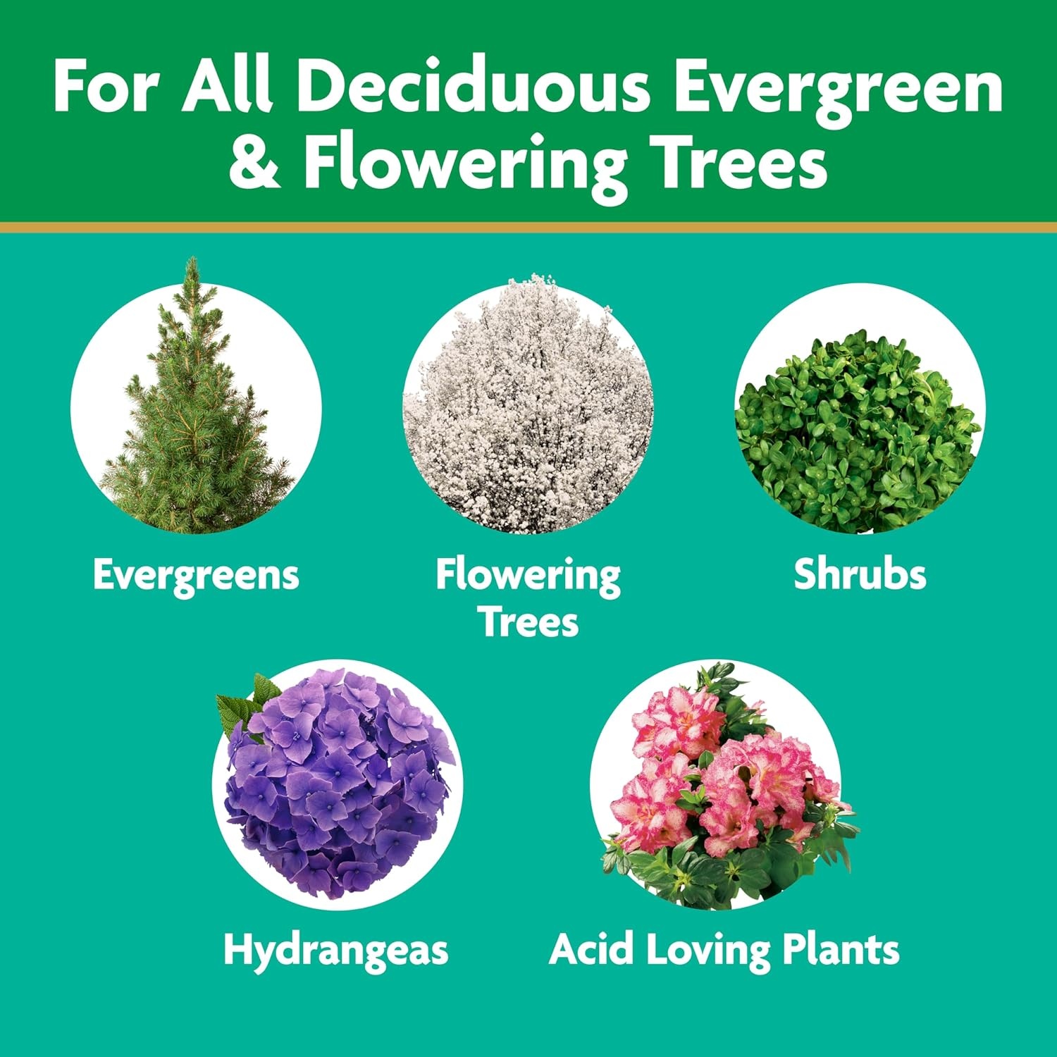 image:imageMiracleGro Shake N Feed All Purpose Plant Food 1 lb8 lb Pack of 4