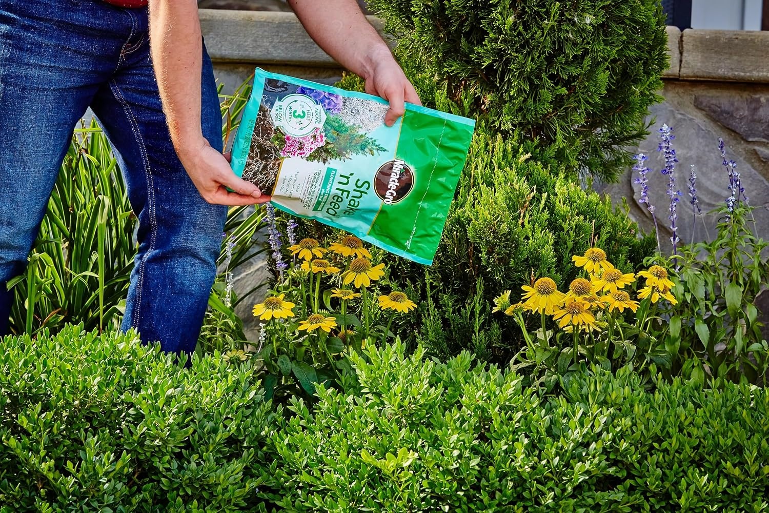 image:imageMiracleGro Shake N Feed All Purpose Plant Food 1 lb8 lb Pack of 4