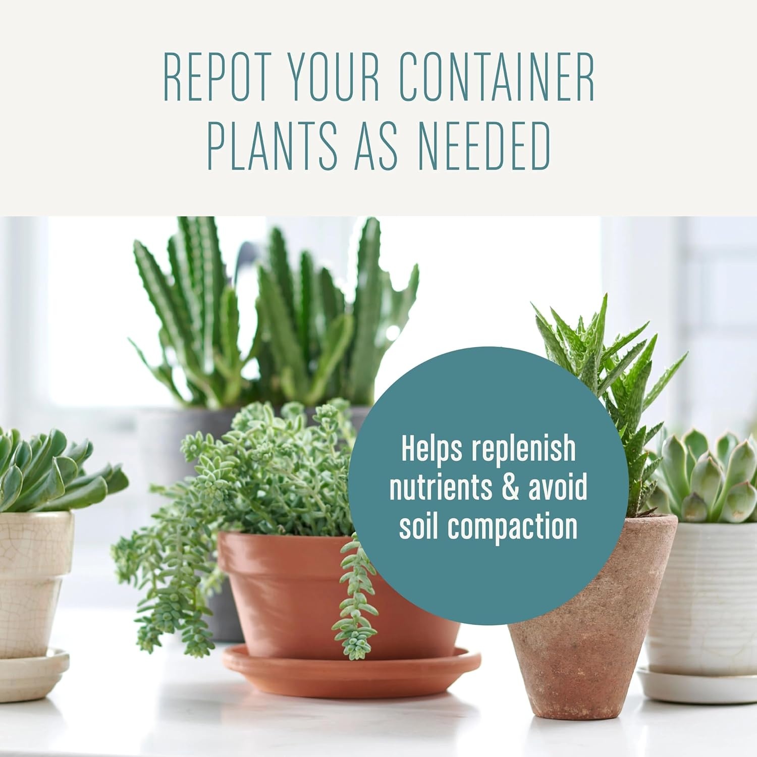 image:imageMiracleGro Succulent Potting Mix 4 qt1 Pack