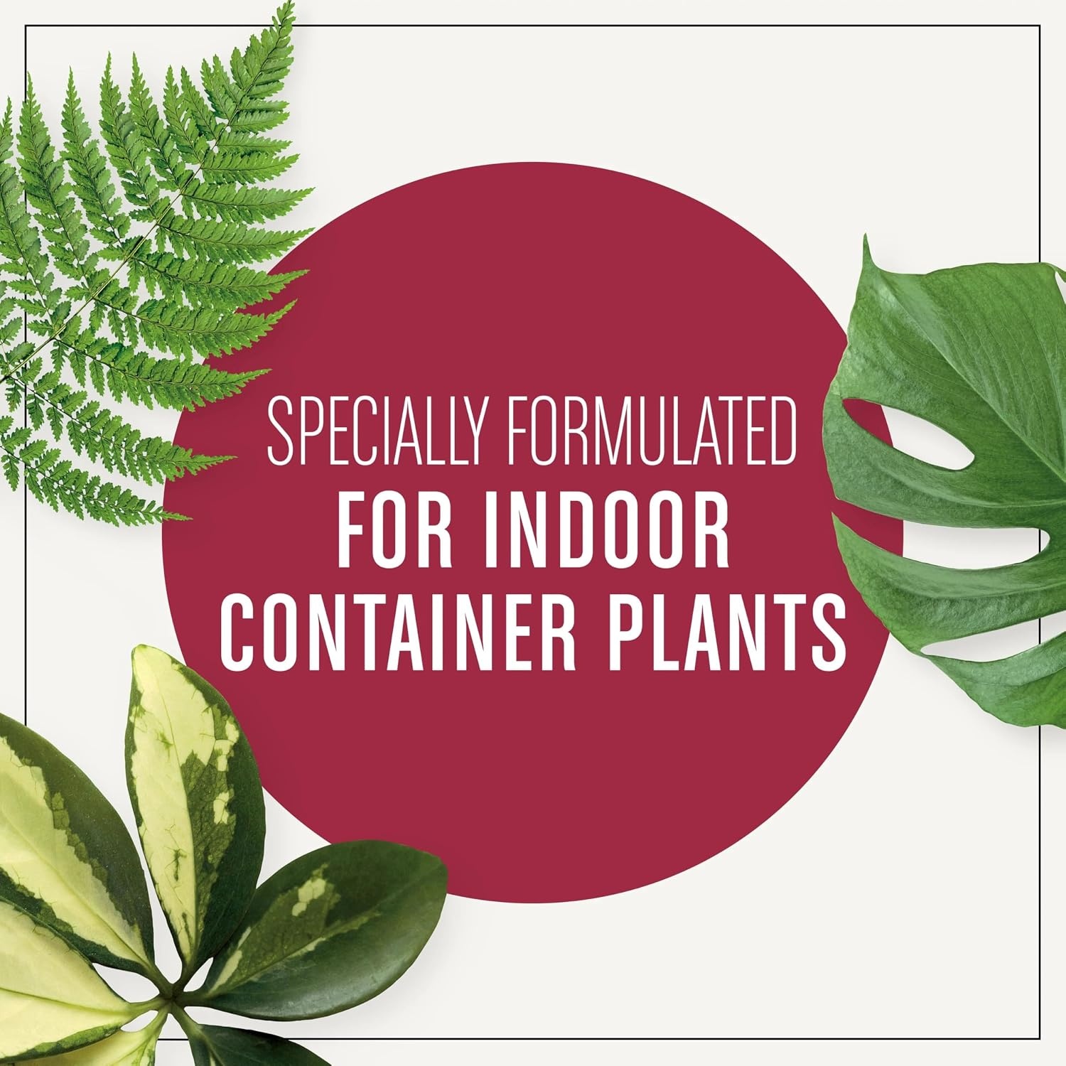 image:imageMiracleGro Succulent Potting Mix 4 qt1 Pack
