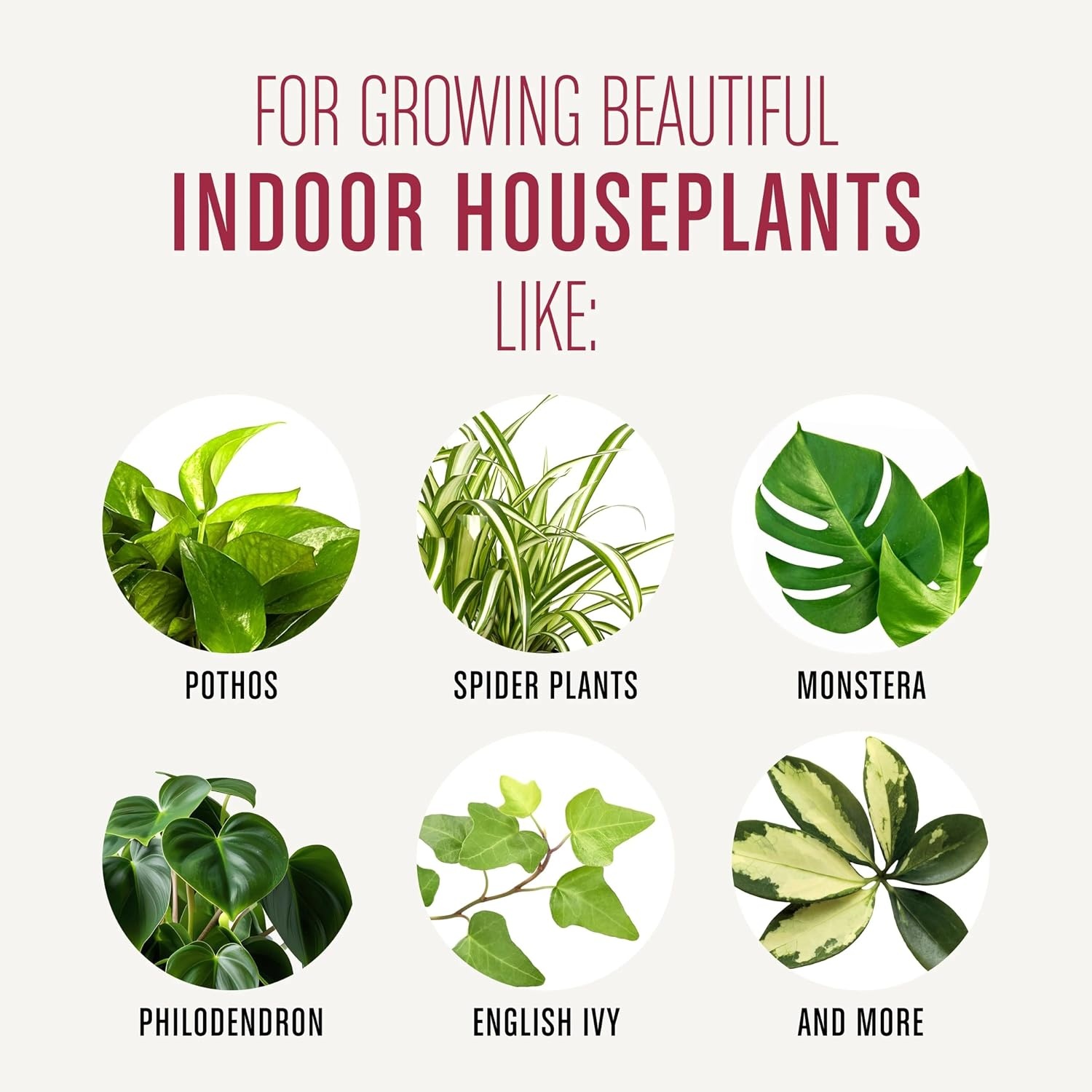 image:imageMiracleGro Succulent Potting Mix 4 qt1 Pack
