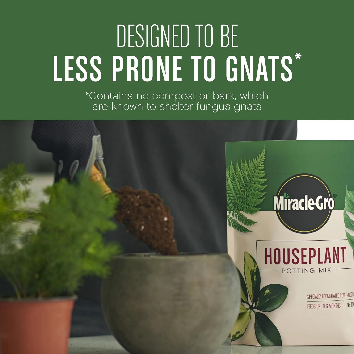 image:imageMiracleGro Succulent Potting Mix 4 qt1 Pack