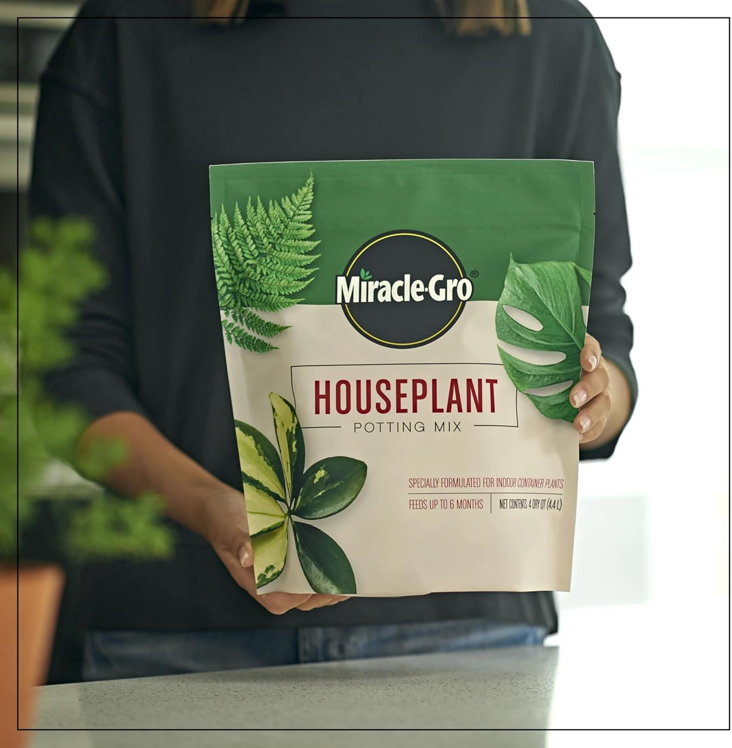 image:imageMiracleGro Succulent Potting Mix 4 qt1 Pack