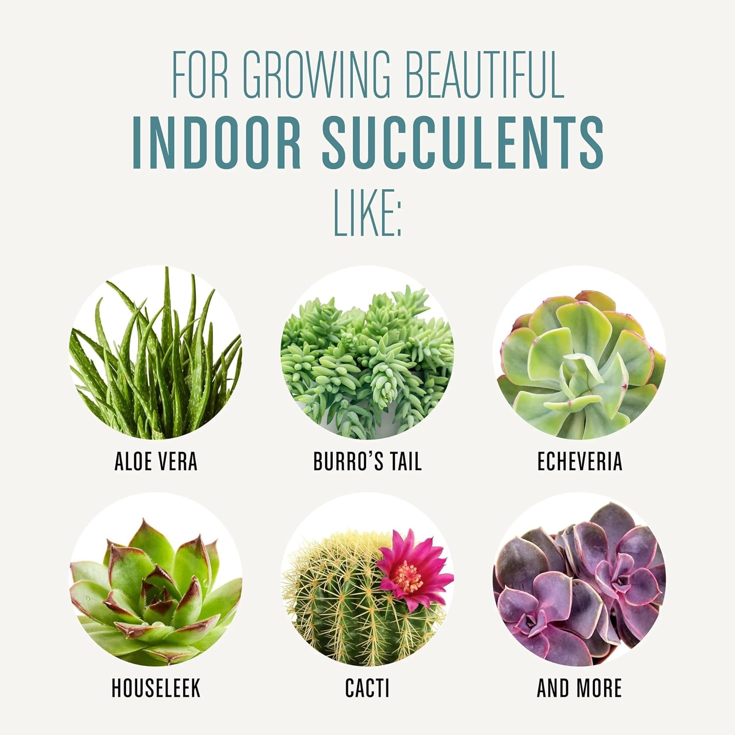 image:imageMiracleGro Succulent Potting Mix 4 qt1 Pack