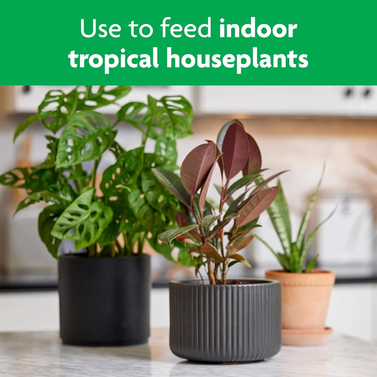 image:imageMiracleGro Tropical Potting Mix 6 qt 2Pack1 Pack