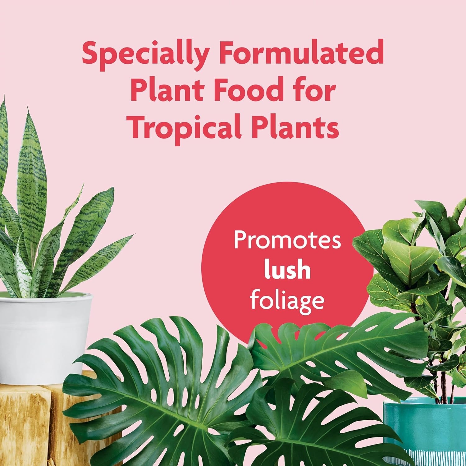 image:imageMiracleGro Tropical Potting Mix 6 qt 2Pack1 Pack