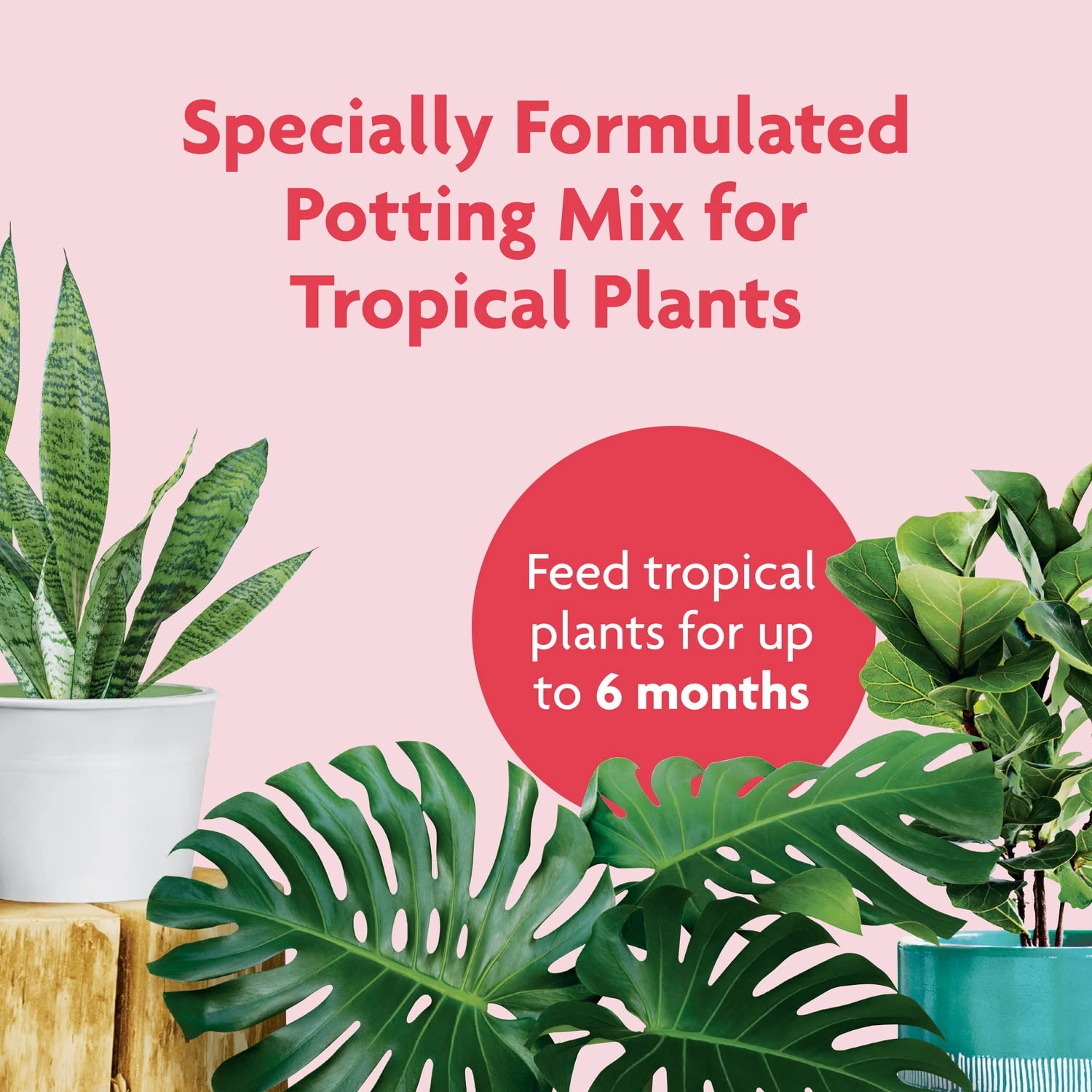image:imageMiracleGro Tropical Potting Mix 6 qt 2Pack2 Pack