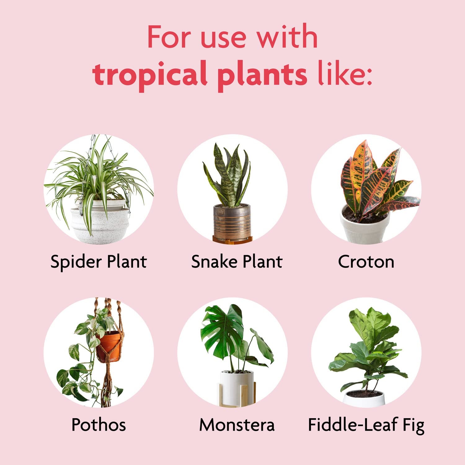 image:imageMiracleGro Tropical Potting Mix 6 qt 2Pack2 Pack