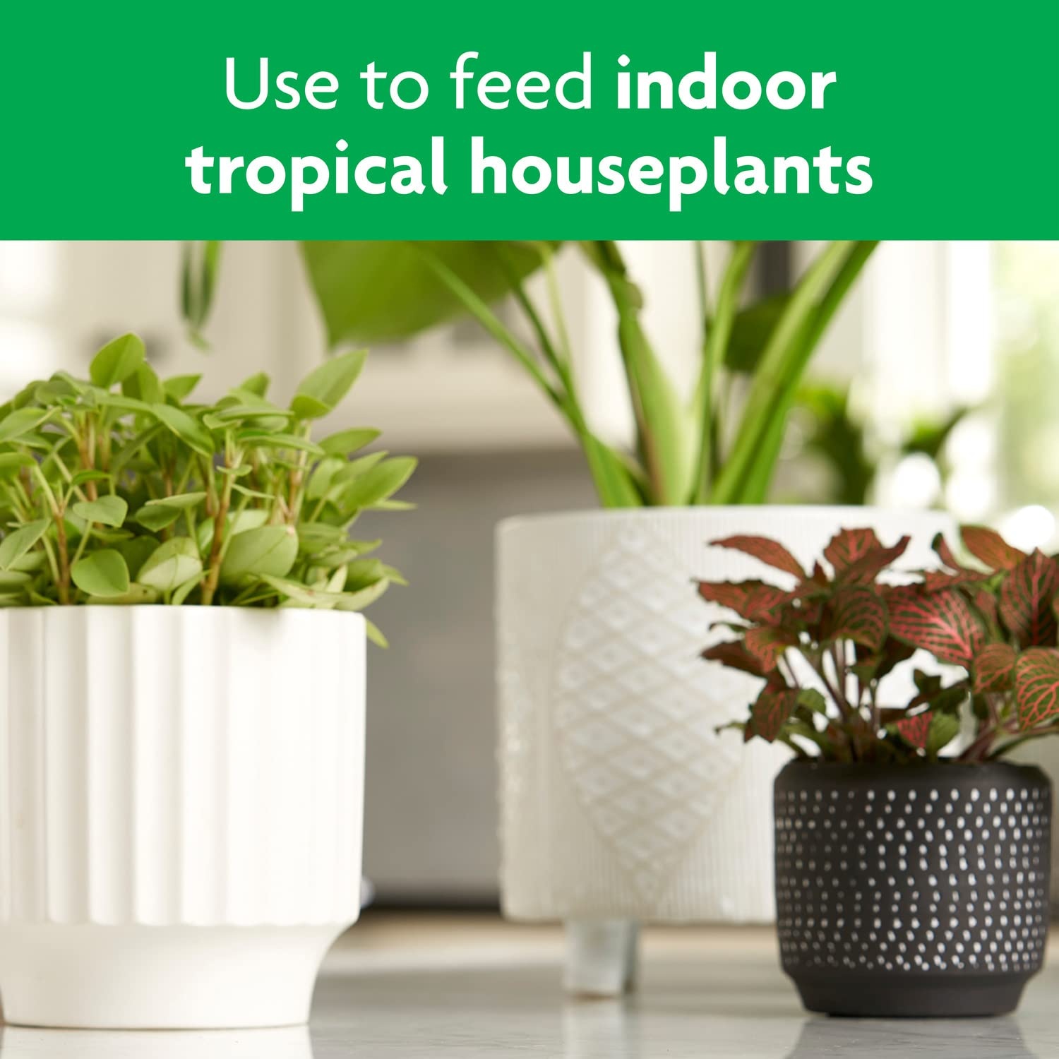 image:imageMiracleGro Tropical Potting Mix 6 qt 2Pack2 Pack