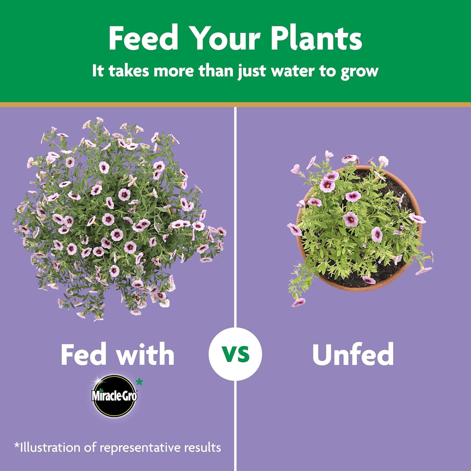 image:imageMiracleGro Water Soluble Bloom Booster Flower Food 55 lb4 lb