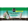 image:imageMiracleGro Fruit amp Citrus Plant Food Spikes 12 Spikes 3 lbTree  Shrub