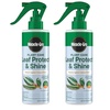 Leaf Protect & Shine