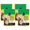 image:imageMiracleGro Shake N Feed All Purpose Plant Food 1 lb8 lb Pack of 4
