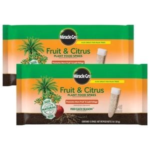 Miracle-Gro Fruit & Citrus Plant Food Spikes, 12 Spikes, 3 lb.(Fruit & Citrus (2-Pack))