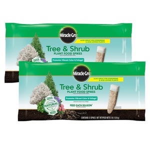 Miracle-Gro Fruit & Citrus Plant Food Spikes, 12 Spikes, 3 lb.(Tree & Shrub (2-Pack))