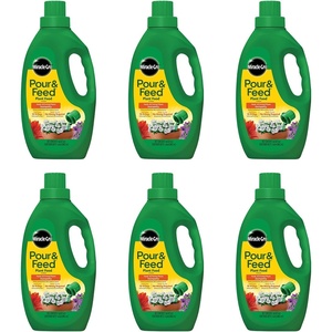 Miracle-Gro Pour & Feed Plant Food, 32 fl. oz.(32 oz (Pack of 6))
